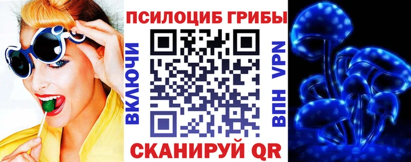 Галлюциногенные грибы Psilocybine cubensis  Купить где  Камень-на-Оби 