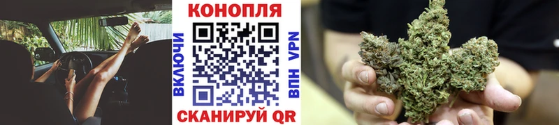 Купить закладки  Камень-на-Оби  Каннабис планчик 